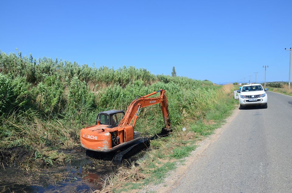 gomec-13-07-20 (1)