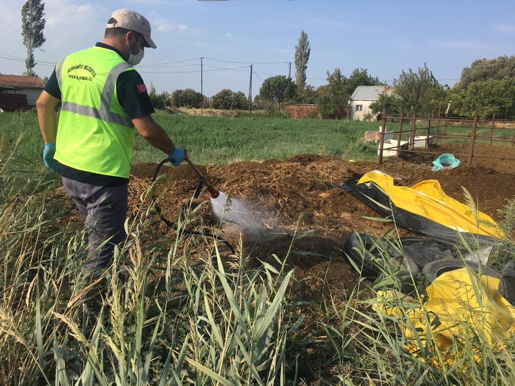 Burhaniye’de Hayvan Çiftlikleri İlaçlanıyor (2)