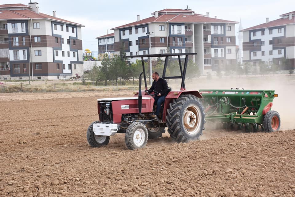 Dazkırı’da Buğday Tohumları Toprakla Buluştu (1)