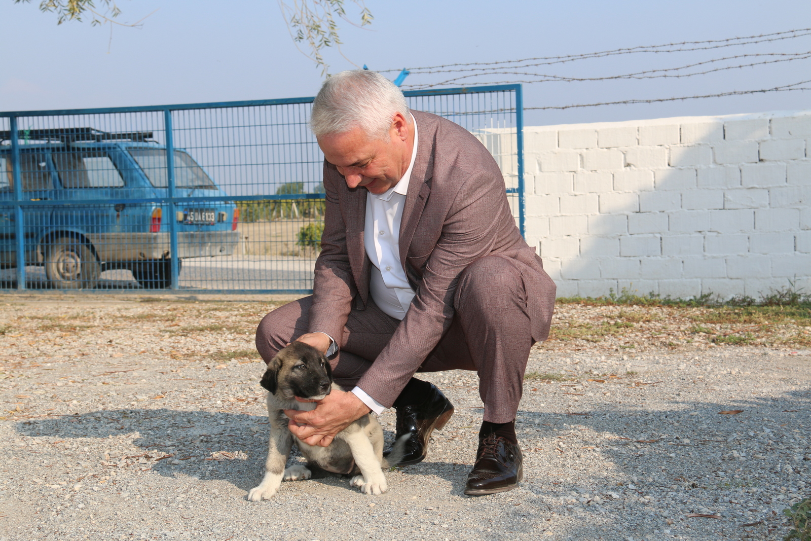 Saruhanlı’da Sokak Hayvanları Aç Kalmasın Diye (1)
