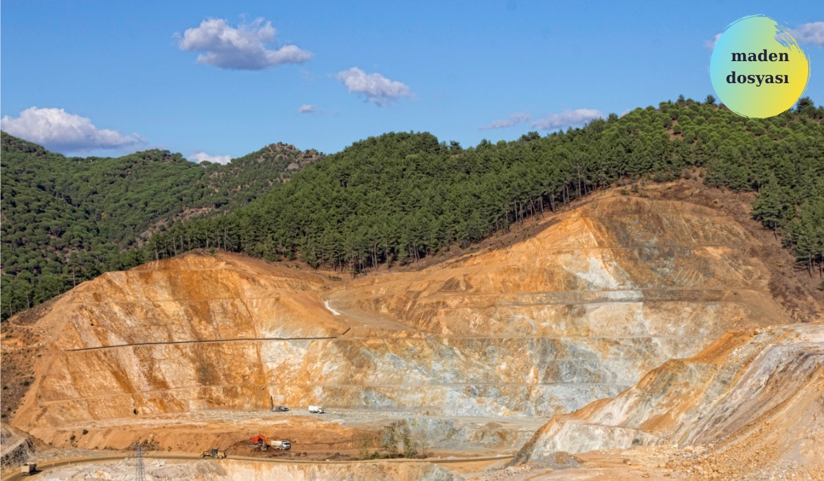 “Kazdağları Ormanları Altın Şirketlerinin Kuşatması Altındadır” (1)