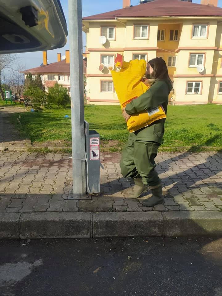 Subaşı Belediyesi Sokak Hayvanlarını Unutmadı (1)