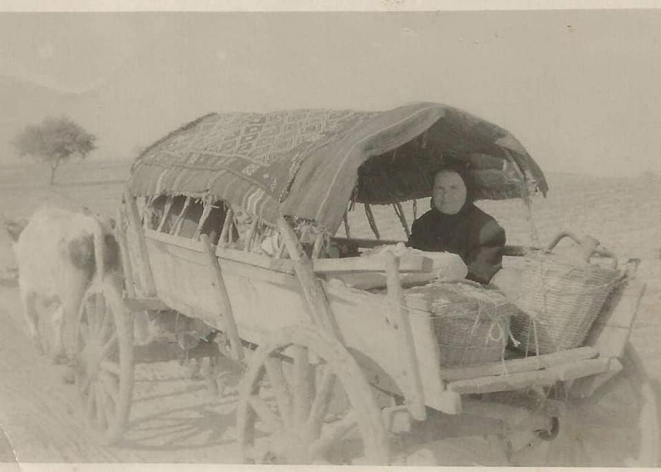 Dallığıma Dokunma (1)