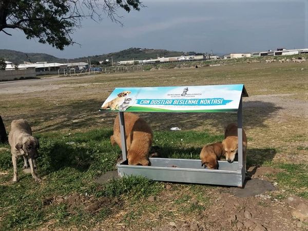 Bergama’da Can Dostlar İçin Besleme Noktaları Kuruluyor (2)